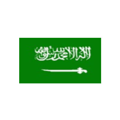 沙特电子签证 ￥1450